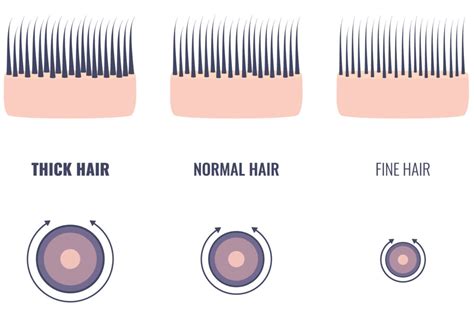 in what units do you measure thickness of hair|hair thickness under hair.